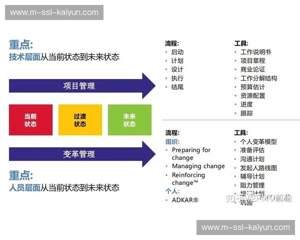 运动员价值评估体系：赛场表现与商业价值双重考量
